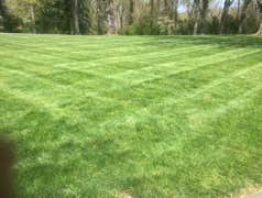 Photos by Don Cele Landscaping #1