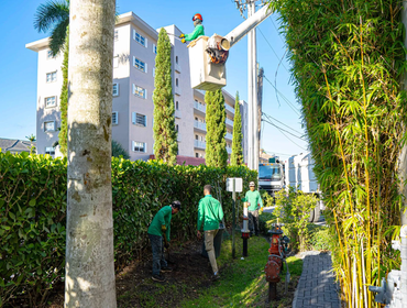 Photos by Real Tree Team Palm Beach #1