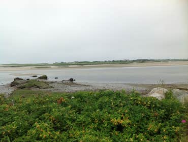 Century 21 Shoreland Property Preservation Project