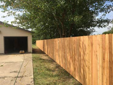 Cedar