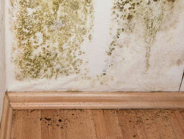 Photos by Hasi Property Restoration LLC #1