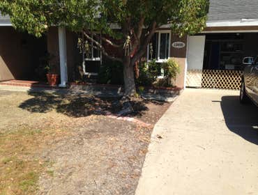 Front Yard Transformation