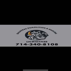 Balderas Demolition & Hauling