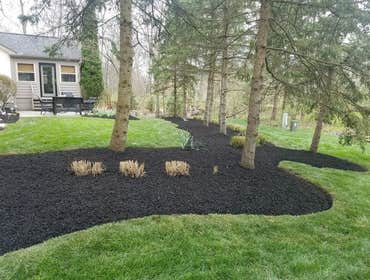 Photos by Jm Landscape and Tree Services #1