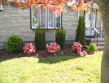 Small Foundational Removed large overgrown shrubs and installed smaller disease and insect resistant plants.