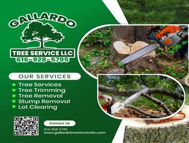 Photos by Gallardo Tree Service LLC #11