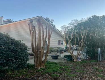Photos by Los Hermanos Maintenance LLC #1