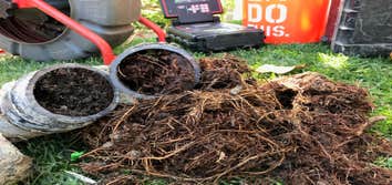 Photos from Drain Fast Inc