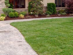 Photos by John Ideal Lawn and Landscapes #1