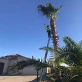 Photos by Vicente Irrigation and Landscaping LLC #1