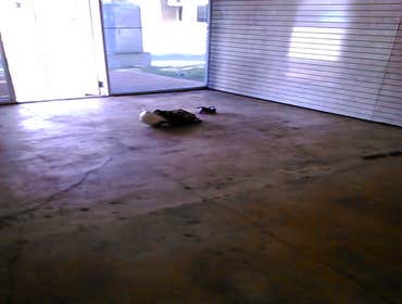 Photos from 1st Choice Abatement and Demolition