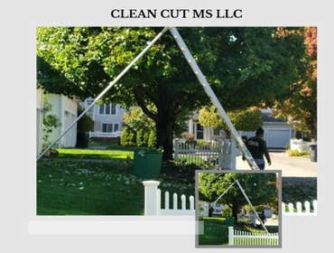 Photos by Clean Cut Ms LLC #4