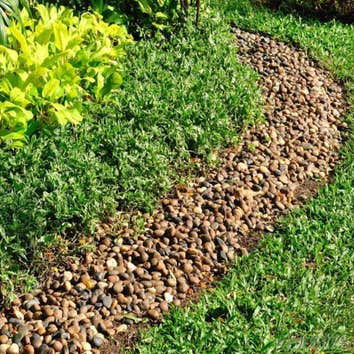Photos from Green Thumb Landscaping