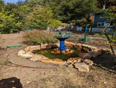 Photos by Tuyub Landscaping #5