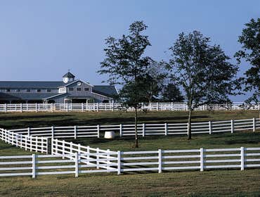 Fences