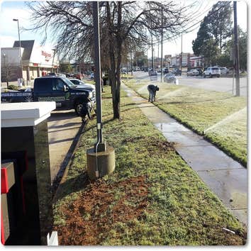 Landscaping