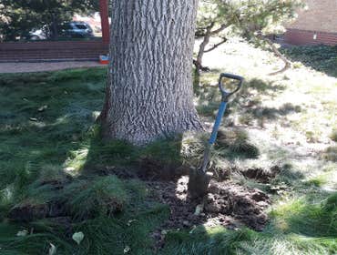 Photos by Summer Sprinklers & Repair #1