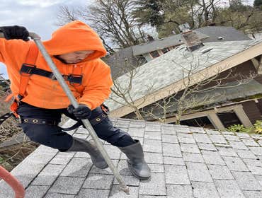 Photos by I&x Construction - Hillsboro Roof Moss Removal & Pressure Washing Service #1