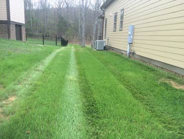 Photos by Don Cele Landscaping #1