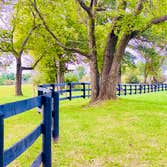 3-Board Wood Paddock Fence