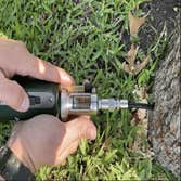 Price Right Professional Landscaping & Tree Service