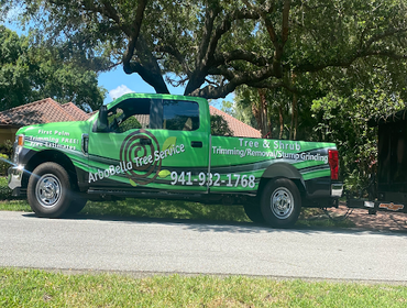 Photos by Arbobella Tree Service #1