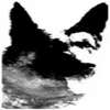 Big Dog Concrete Construction logo