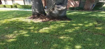Shaw Landscaping