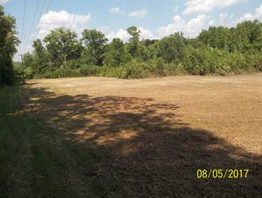 Photos from Lot Scapes