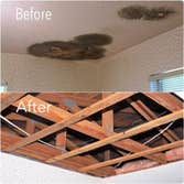 Photos by Mold Trust, Inc #1