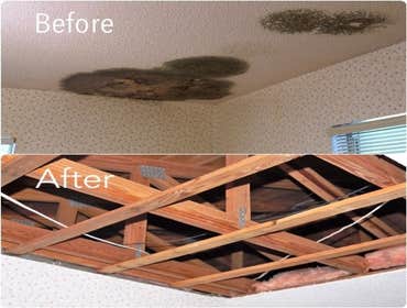 Photos by Mold Trust, Inc #1