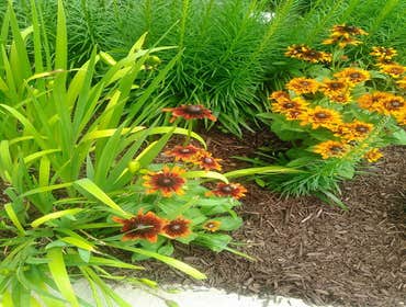 Photos from mb landscapins.com