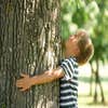Baytown Tree Care logo