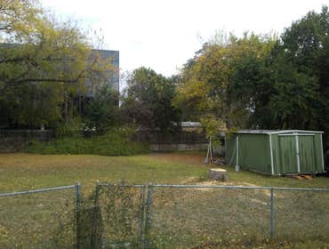 Photos from Arbortex Tree Service