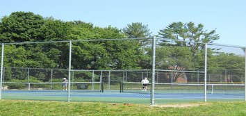 Chain link