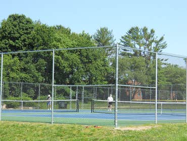 Chain link