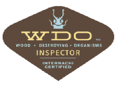 InterNACHI trained and certified WDO inspector