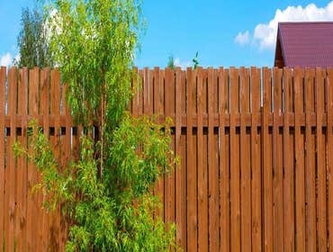 Fences
