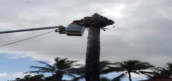 Jireh Tree Care LLC