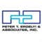Erdelyi, Peter Tibor DBA Peter T. Erdelyi & Associates, Inc.