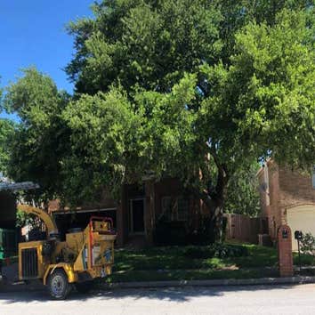 Carrollton Tree Service Company