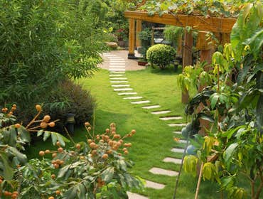 Photos from Rivera's Landscaping & Construction Inc.