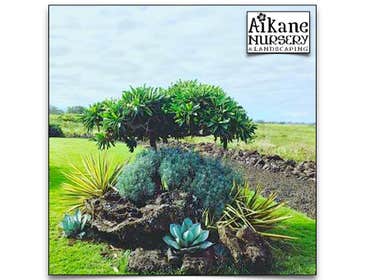 Aikane Landscaping & More
