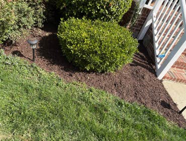 Photos by Beauty Meister Landscaping LLC #2