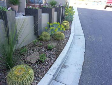 Photos from Arizona Sunscape Lawn Maintenance Llc