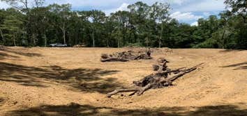 Lacaze Land Development