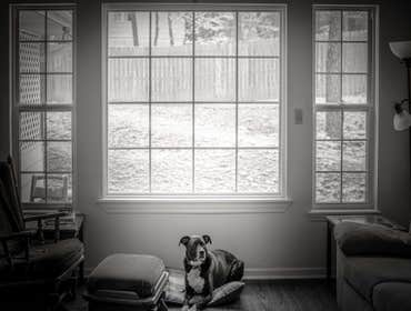 Interiors