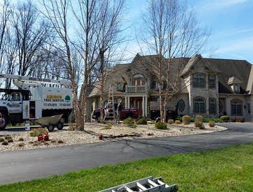 Photos by Amigos Lawn Care & Tree Service #1