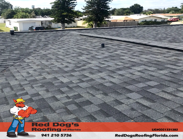 Photos by Red dog's Roofing of Florida #1