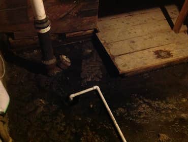 Mold removal in basement
